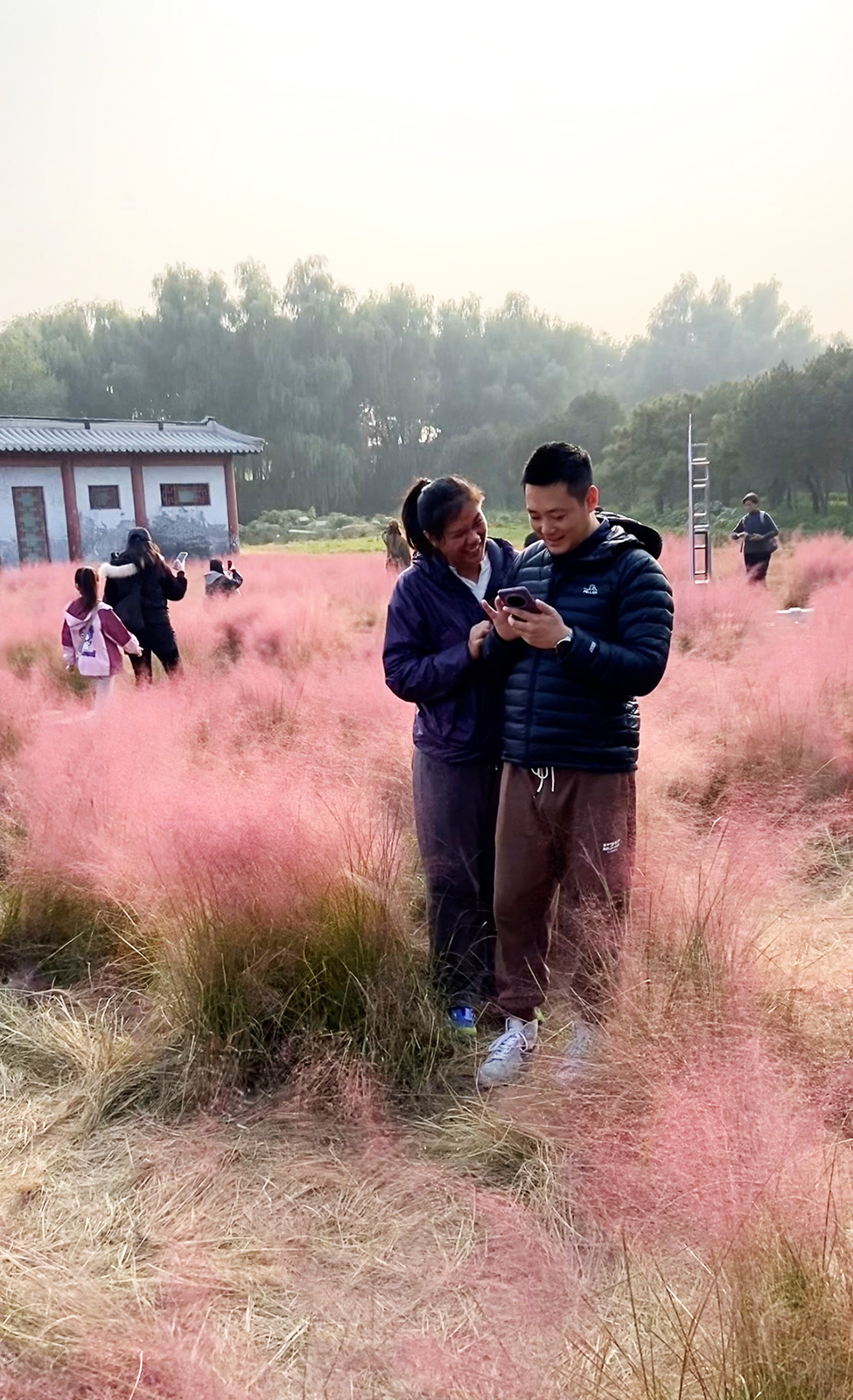 Visitors stroll through a field of pink muhly grass at the Old Summer Palace in Beijing on October 25, 2025, enchanted by the fairytale scenery and eager to preserve the moment in photographs. /CGTN