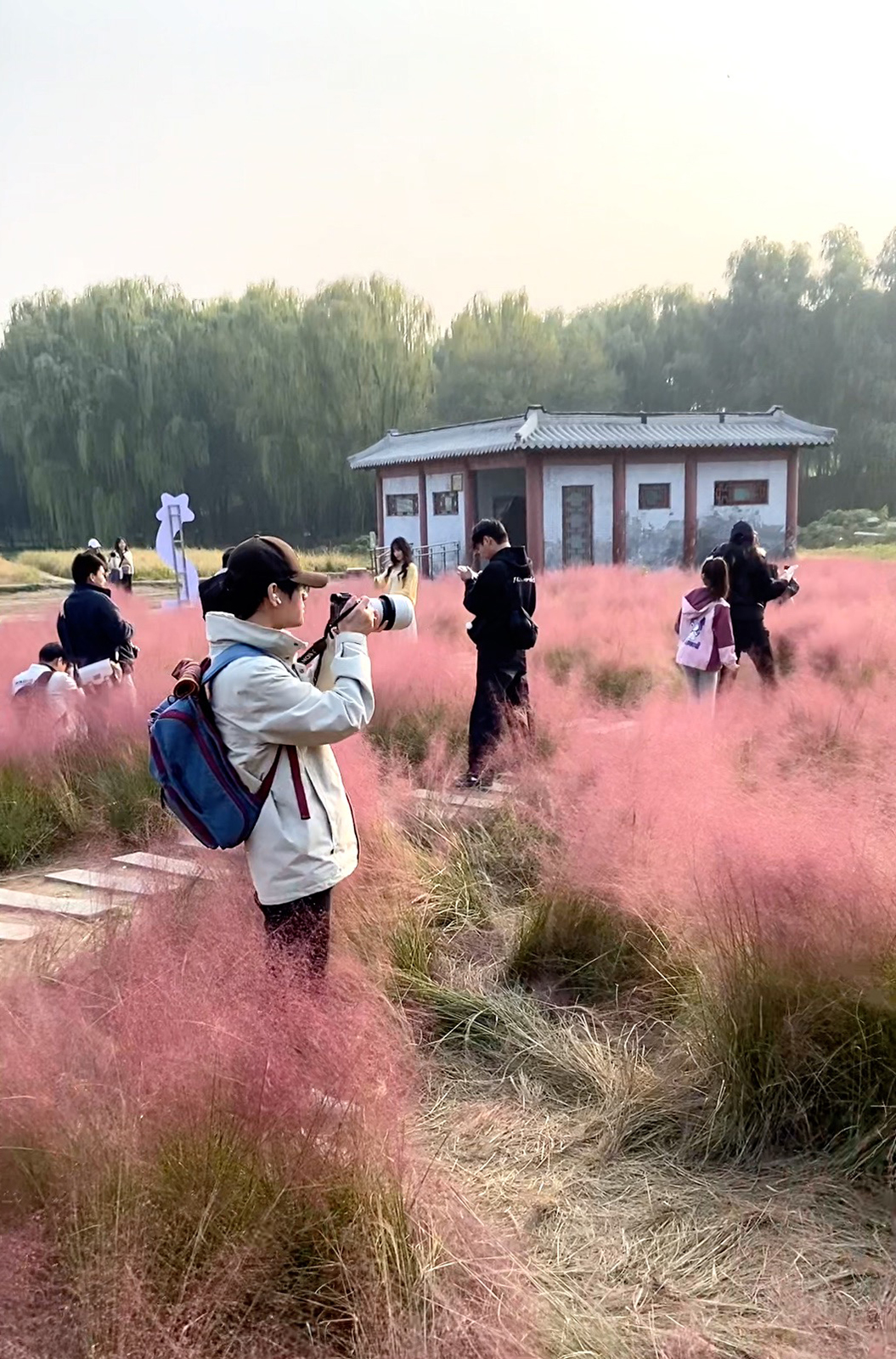 Visitors stroll through a field of pink muhly grass at the Old Summer Palace in Beijing on October 25, 2025, enchanted by the fairytale scenery and eager to preserve the moment in photographs. /CGTN