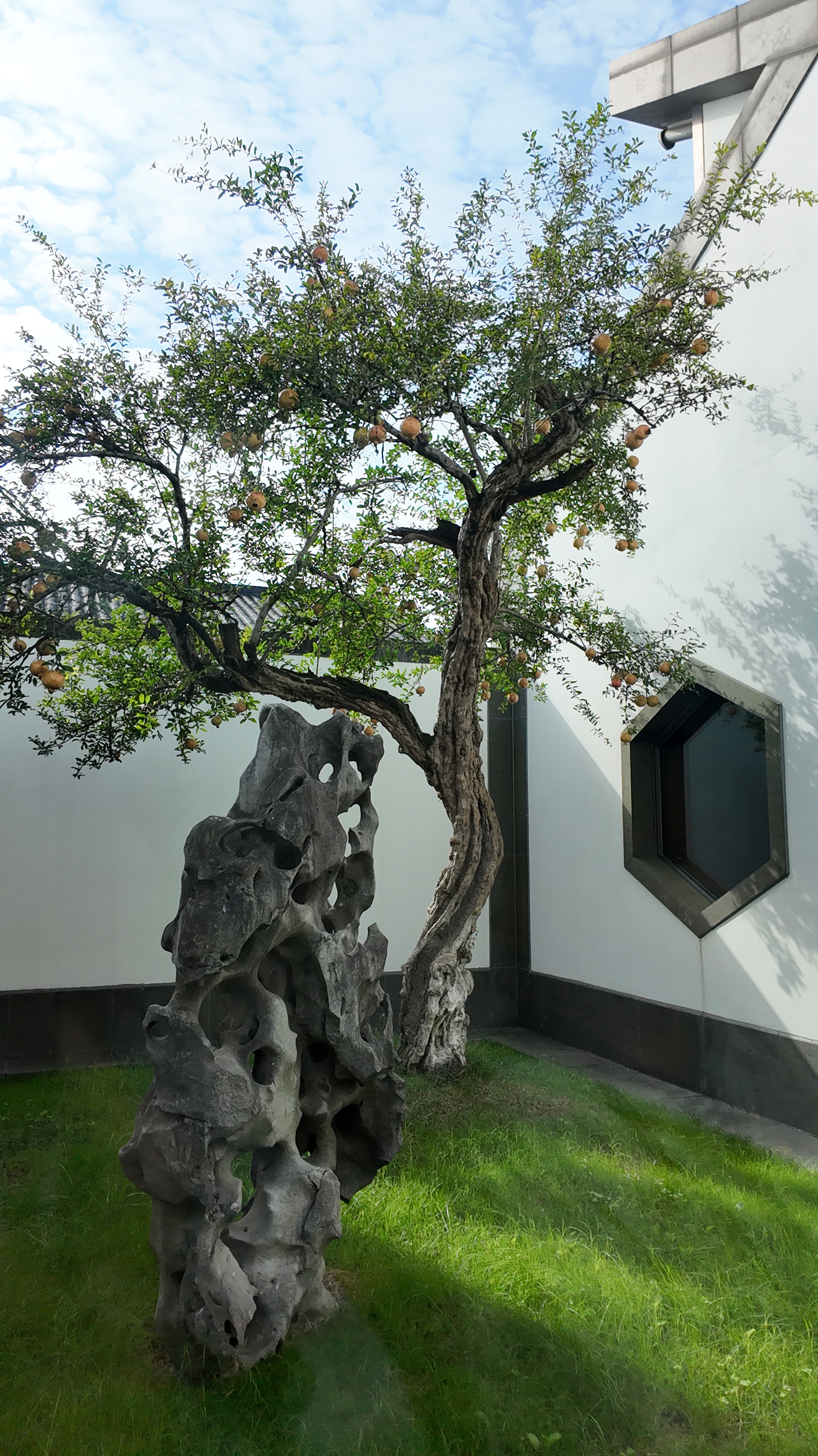 A photo taken on October 25, 2025 shows the Suzhou Museum in Suzhou, Jiangsu Province. /CGTN