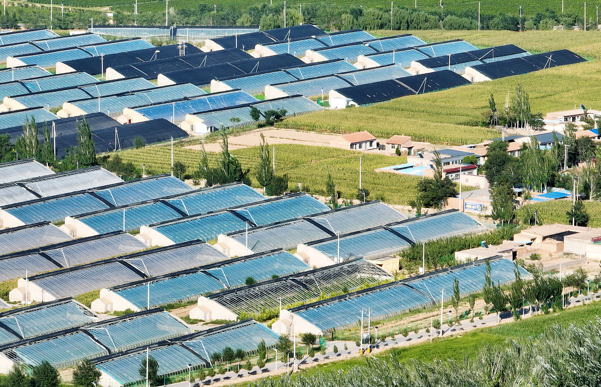 A photo taken in September 2025 shows the greenhouses in Yuanyi Village, Minning Town in Yinchuan, Ningxia Hui Autonomous Region. /VCG