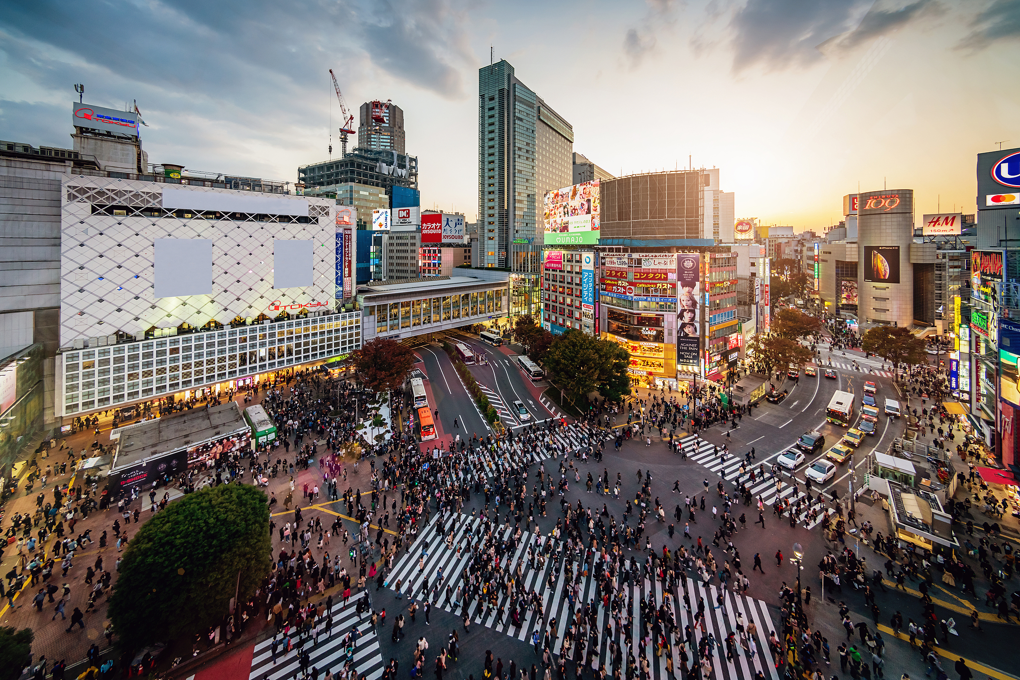 Downtown Shibuya, Tokyo, Japan. /VCG