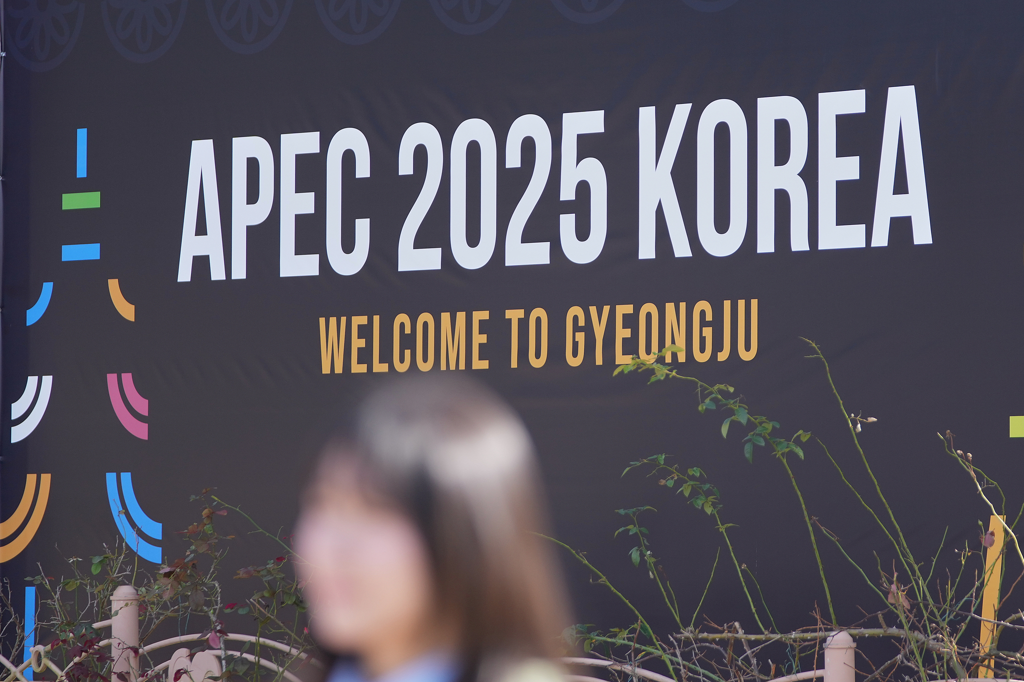 The logo of the Asia-Pacific Economic Cooperation (APEC) seen in Gyeongju, Republic of Korea, Oct. 30, 2025. /VCG