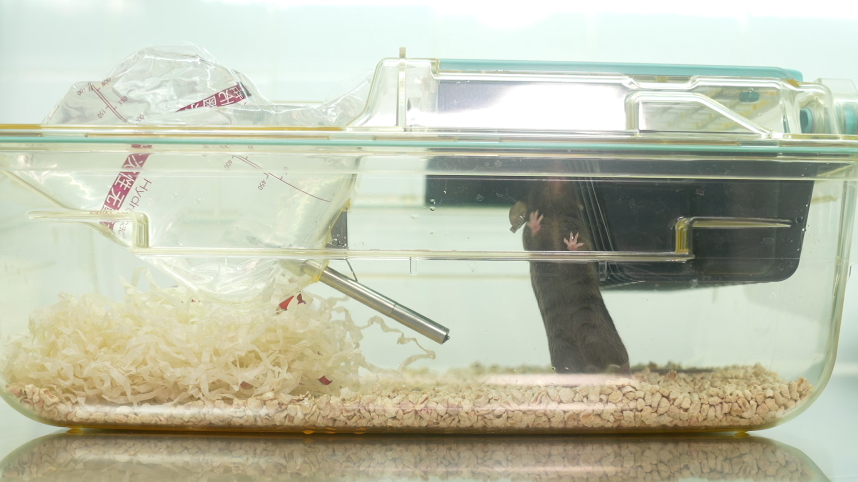 courtesy of the Technology and Engineering Center for Space Utilization, Chinese Academy of Sciences