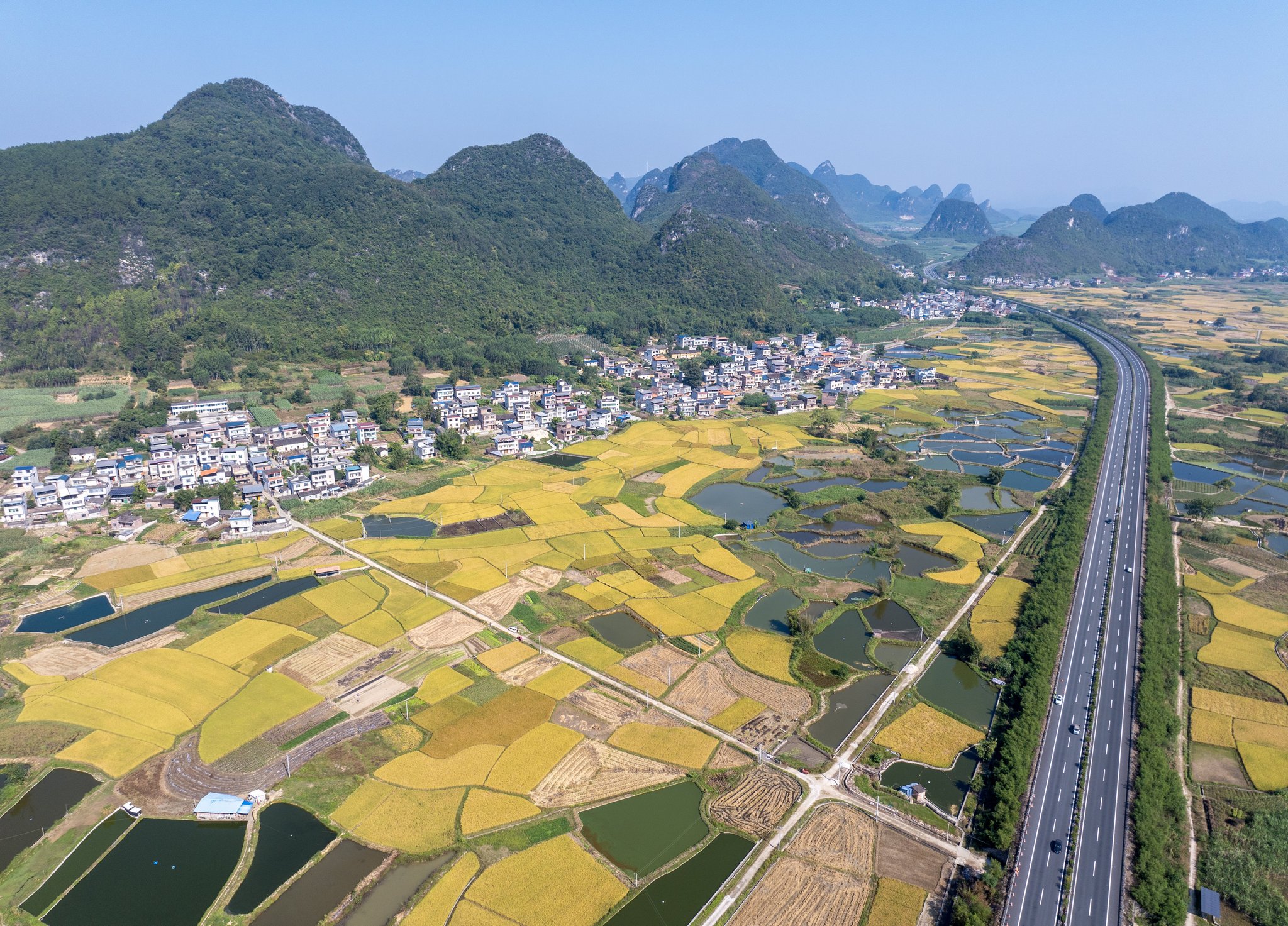 An aerial view of Yangmei Village in Liucheng County, Guangxi Zhuang Autonomous Region, is captured on October 28, 2025. /VCG