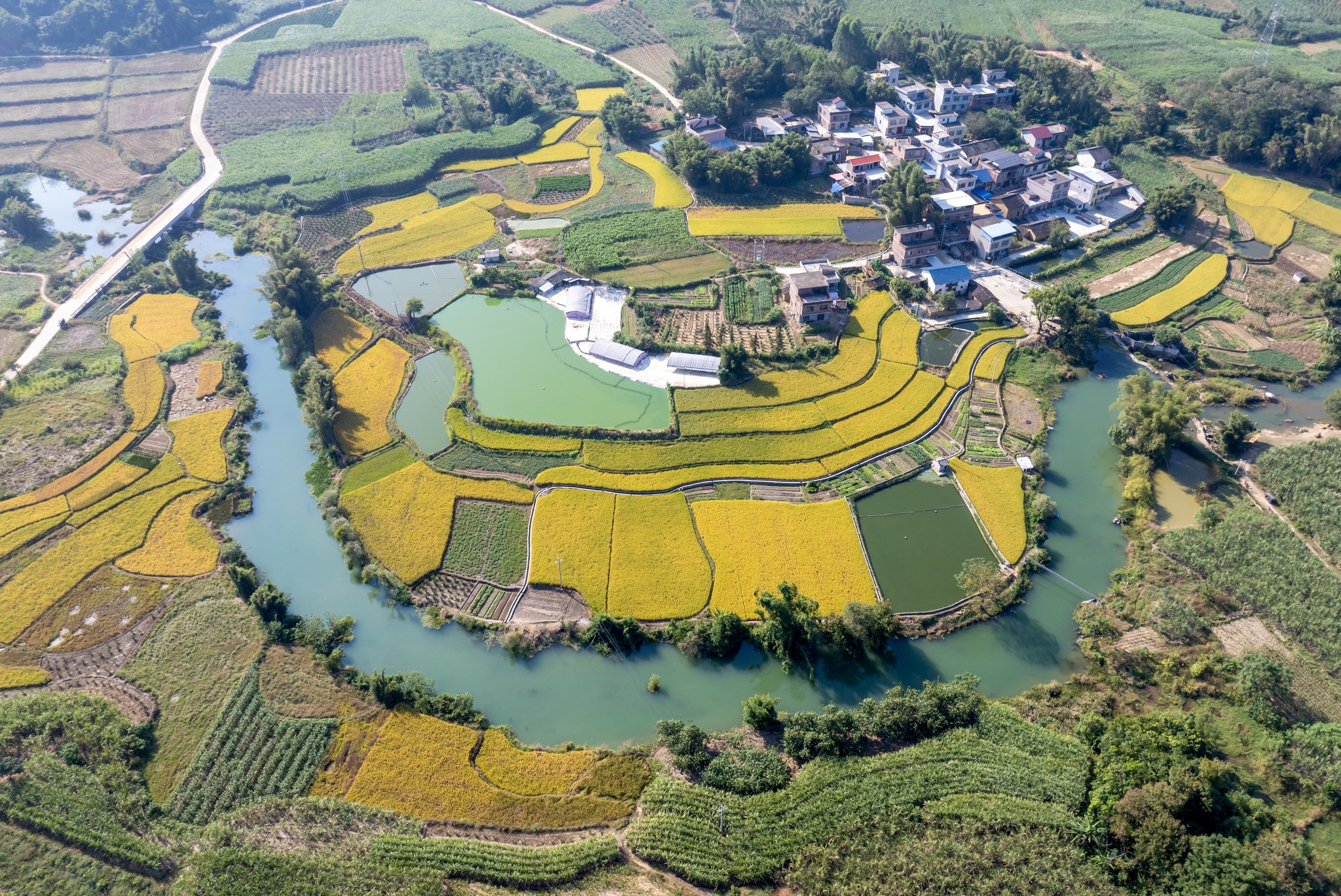 An aerial view of Yangmei Village in Liucheng County, Guangxi Zhuang Autonomous Region, is captured on October 28, 2025. /VCG