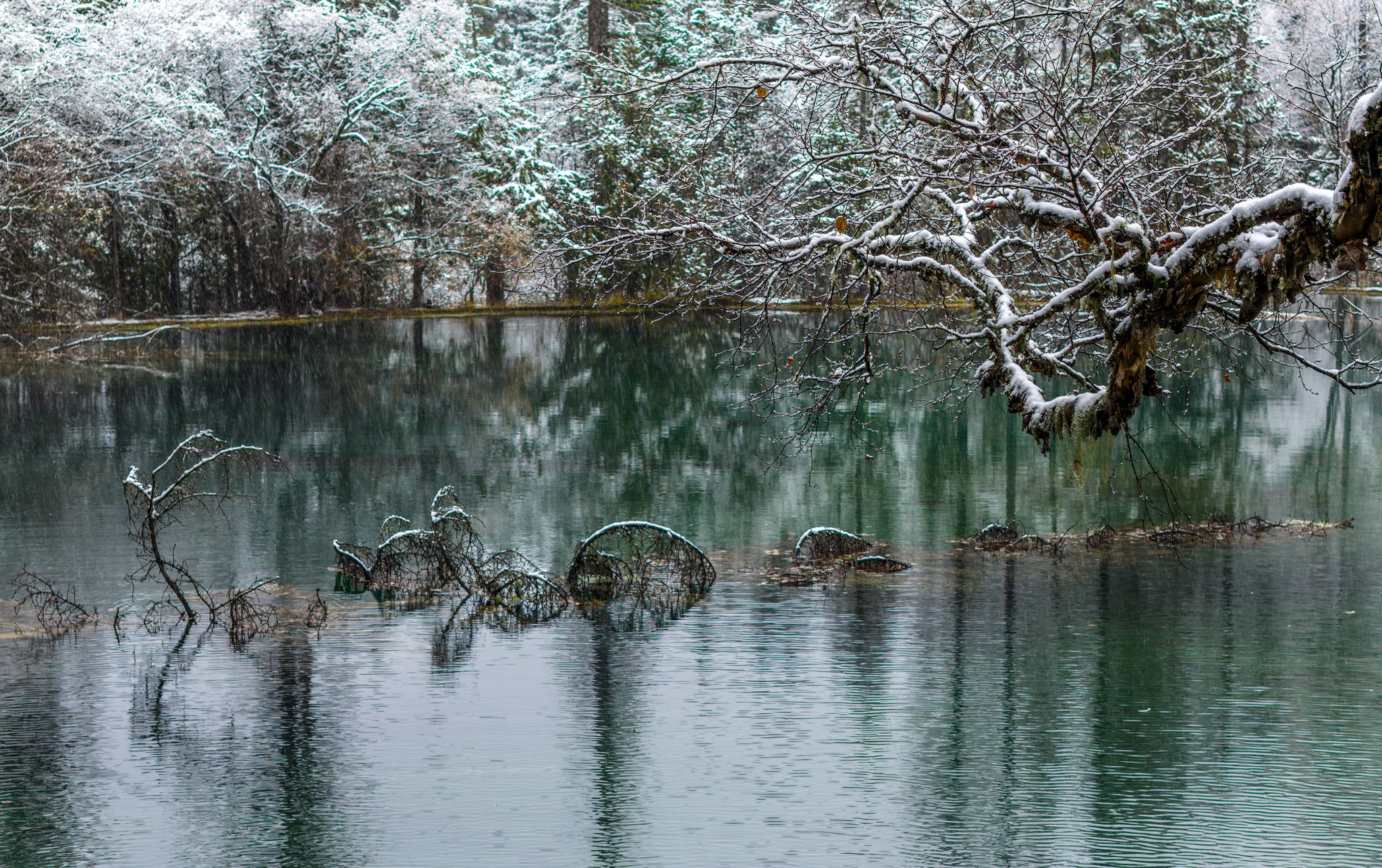 The first snowfall of the autumn season blankets the Jiuzhaigou scenic area in Sichuan Province, enhancing the beauty of its crystal-clear pools on October 31, 2025. /VCG