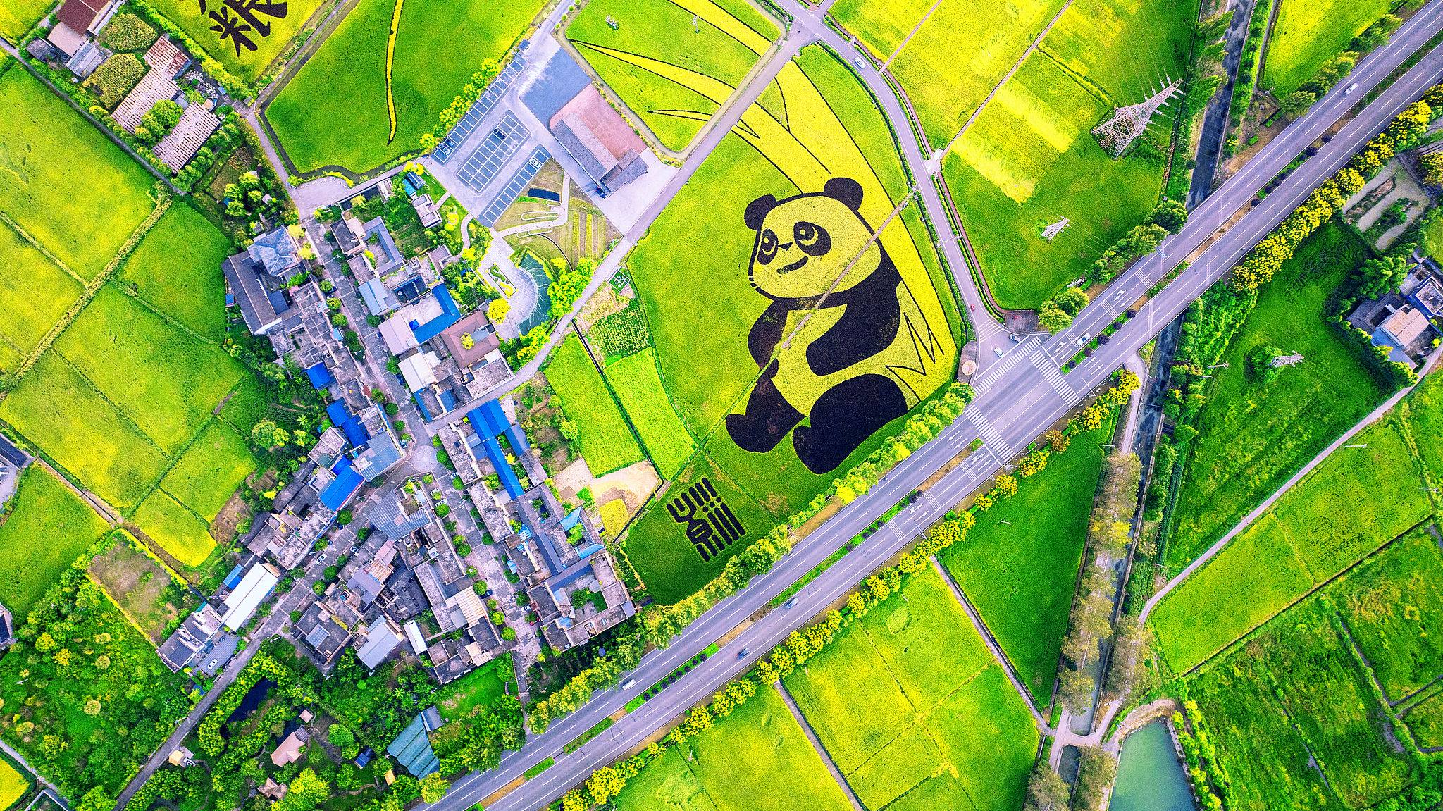 How China's youth are being educated to end hunger