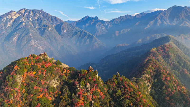 Live: Picturesque view of Cuihua Mountain in northwest China