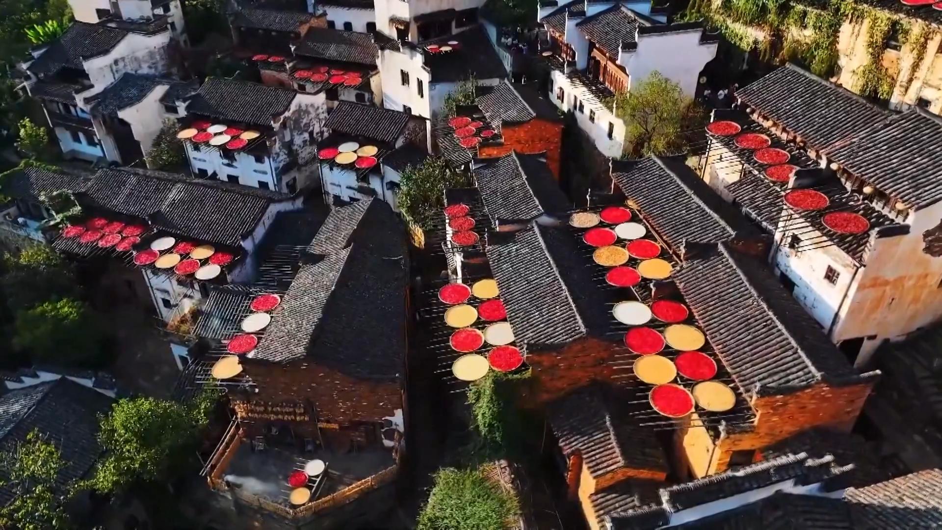 Wuyuan autumn tour: A colorful harvest amid Huizhou architecture