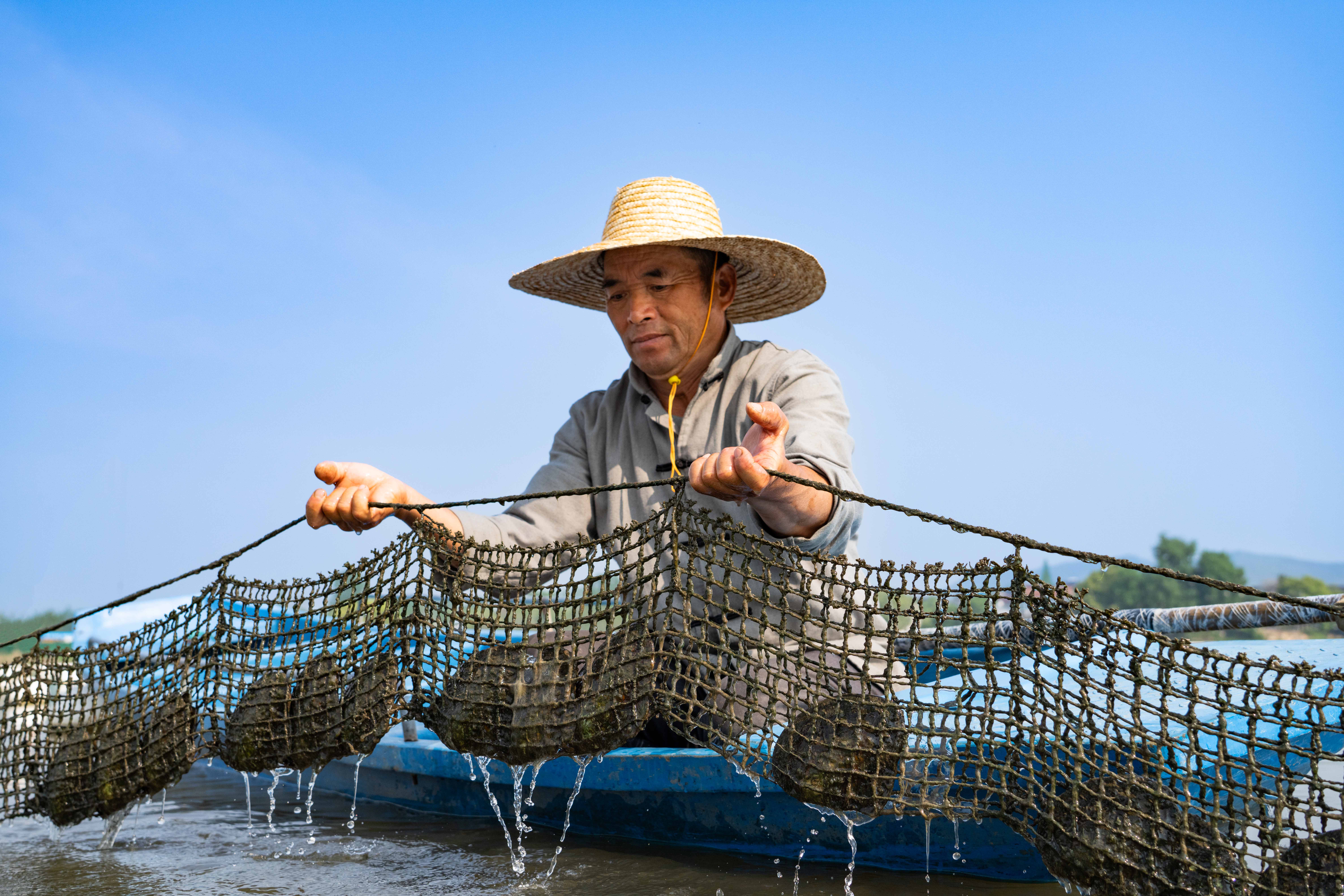 Farmers enjoy a good harvest from the freshwater pearl mussel fishery system in Deqing County, Huzhou City, east China. /Provided to CGTN