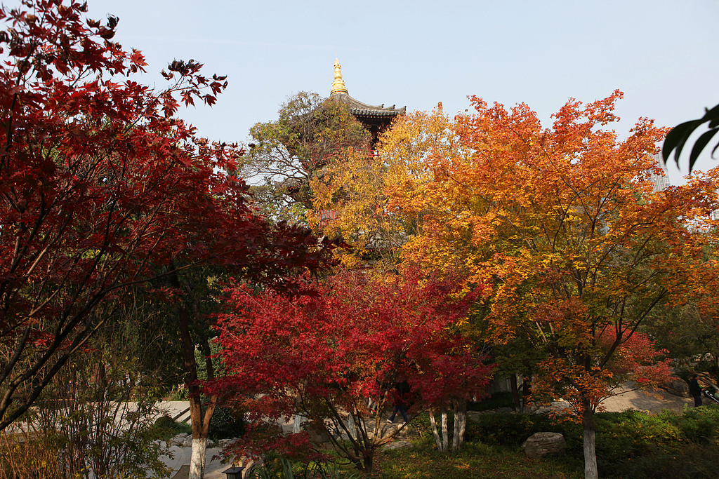 Xingqinggong Park in late autumn is pictured on November 3, 2025 in Xi'an, Shaanxi Province. /VCG 