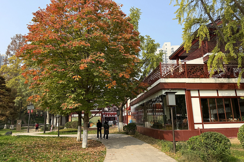 Xingqinggong Park in late autumn is pictured on November 3, 2025 in Xi'an, Shaanxi Province. /VCG 