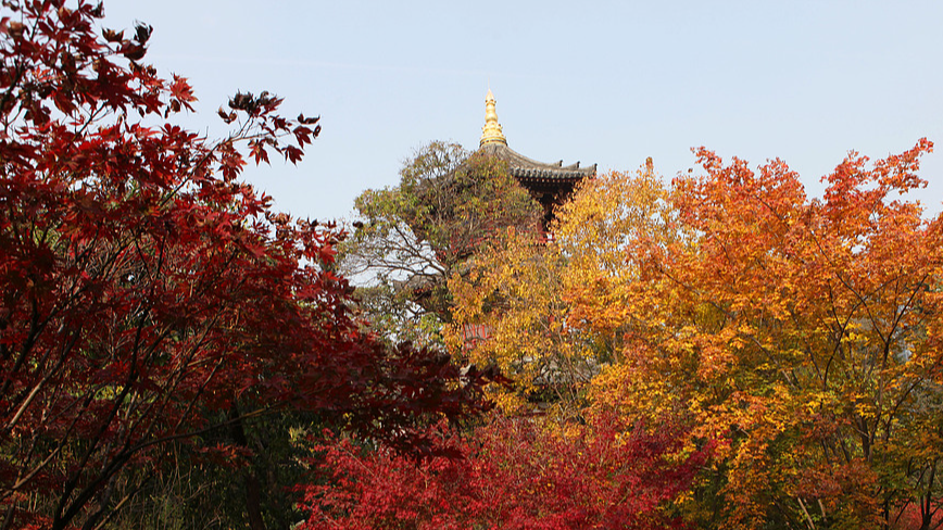 Autumn colors paint Xingqinggong Park in Xi'an