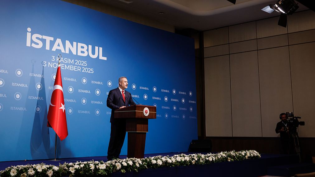 FMs from seven countries meet in Istanbul to discuss Gaza's future