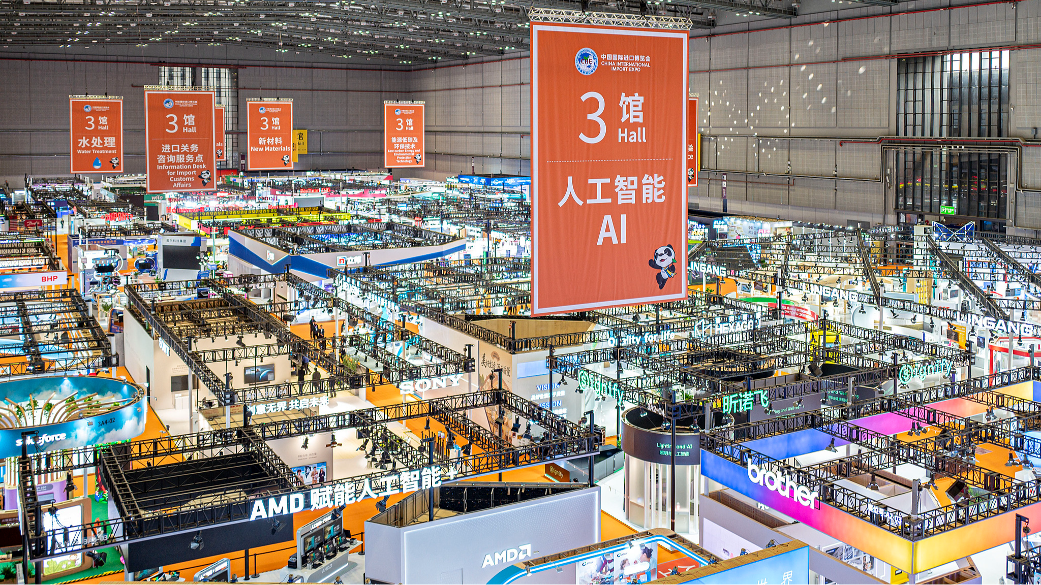 CIIE provides good potential for global cooperation