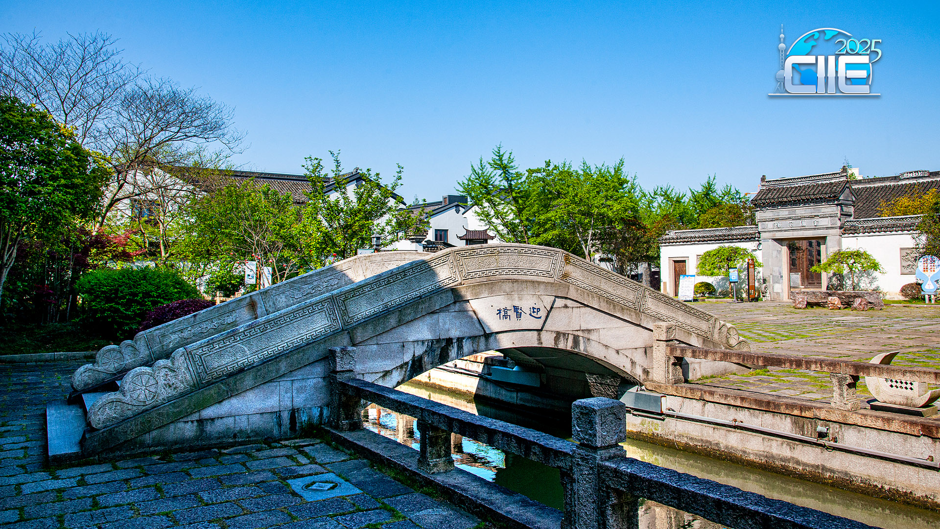Live: Discover the charm of Shanghai's Fengjing Ancient Town
