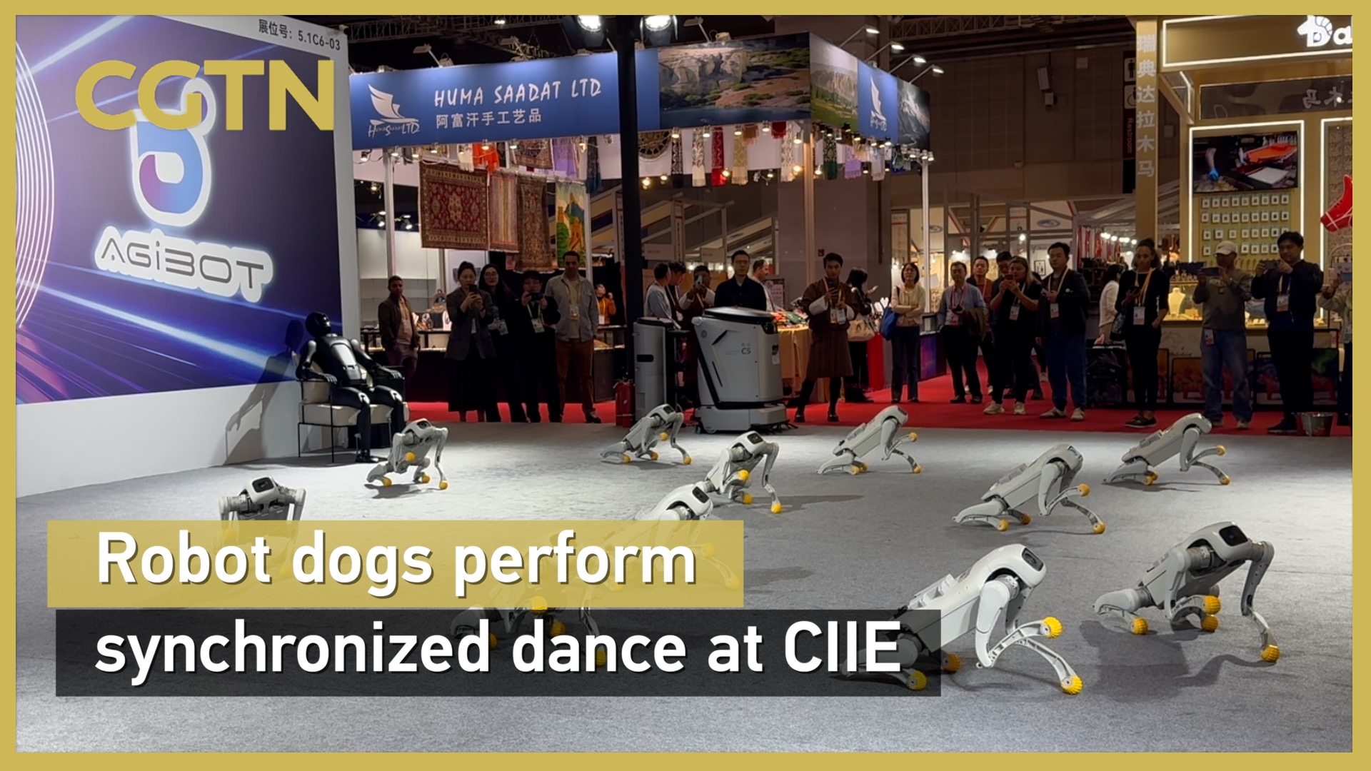 Robot dogs perform synchronized dance at CIIE