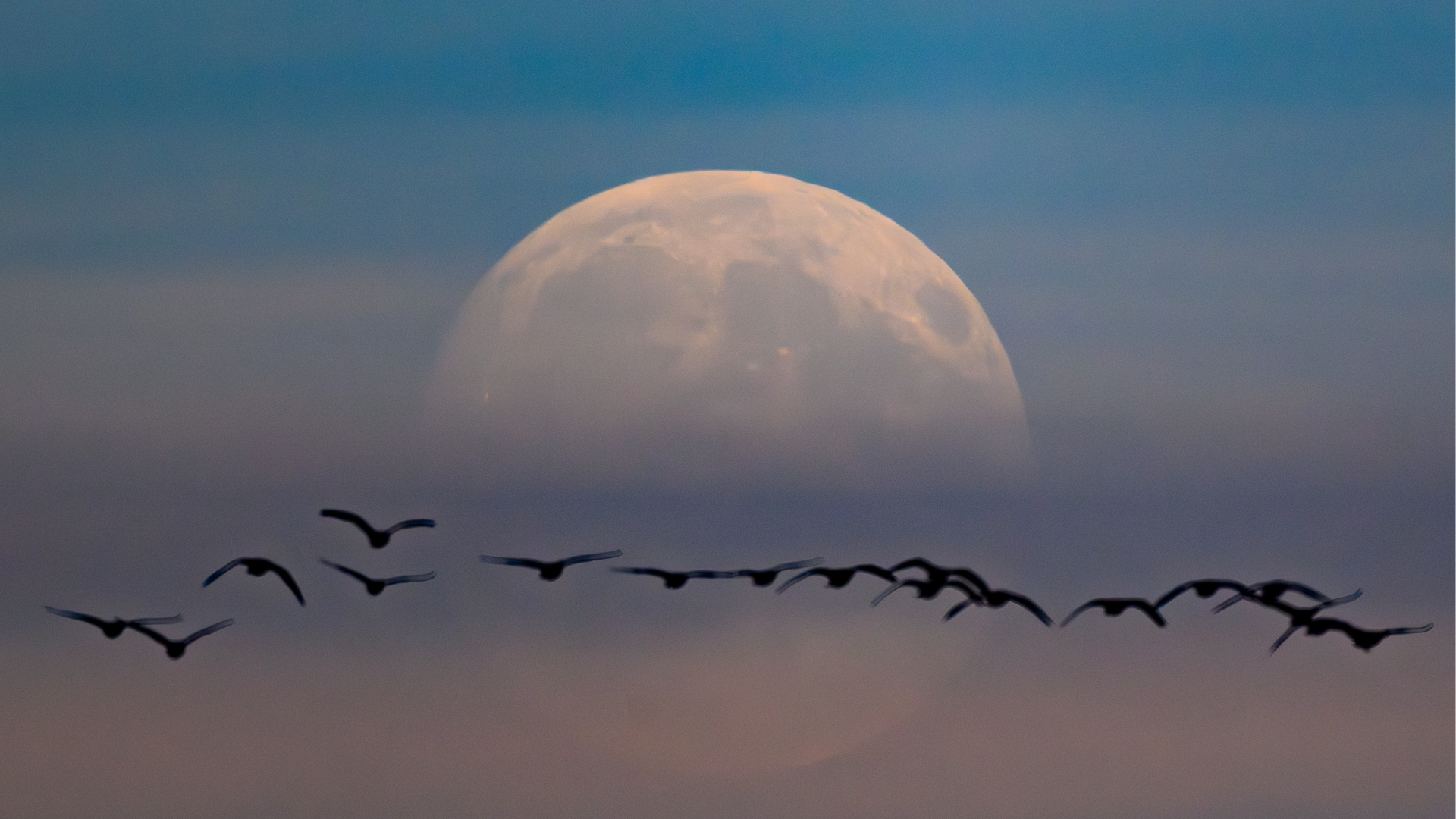Tonight's supermoon: The biggest full moon of 2025 lights up the sky - CGTN