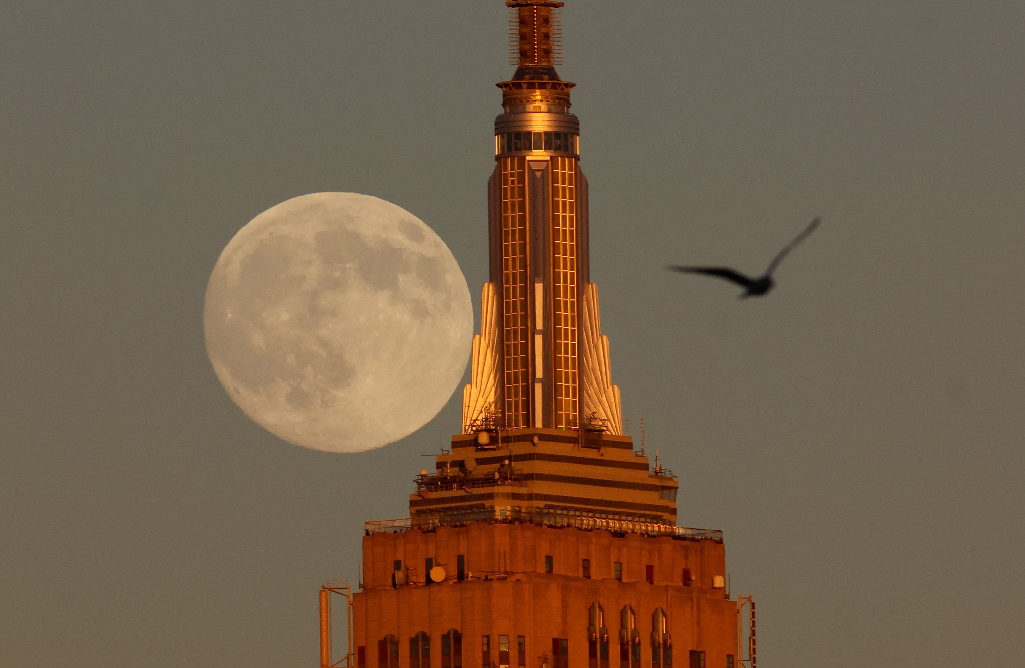The moon rises behind the Empire State Building as the sun sets in New York City, as seen from Hoboken, New Jersey, US, November 4, 2025. /VCG