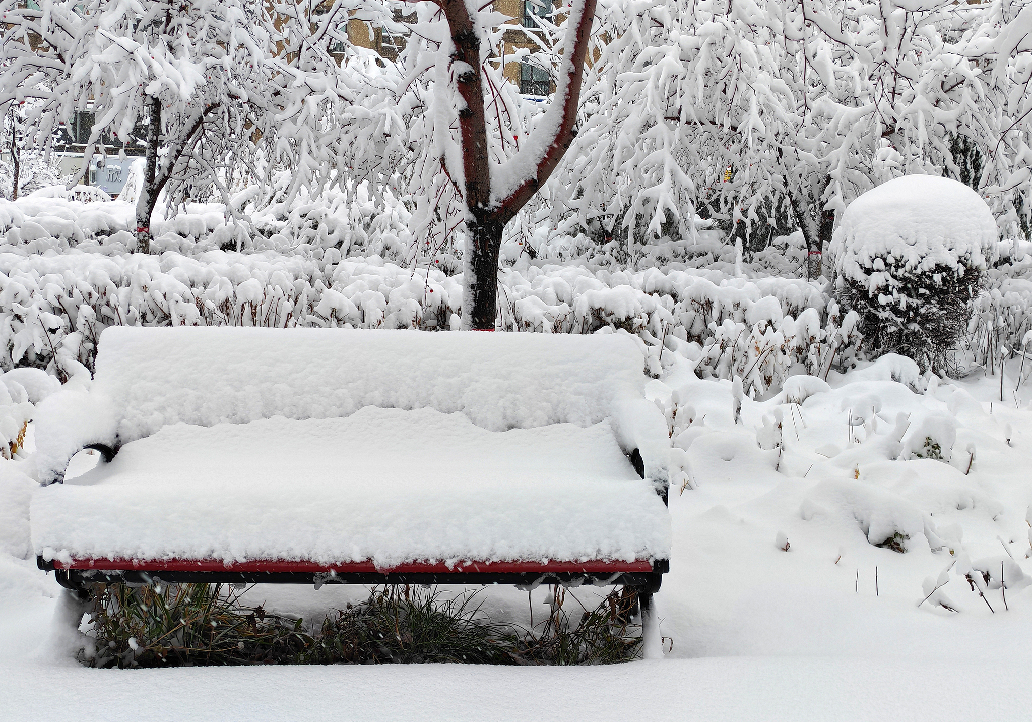 Seats on the walkway, Urumqi, northwest China's Xinjiang Uygur Autonomous Region, November 6, 2025. /VCG
