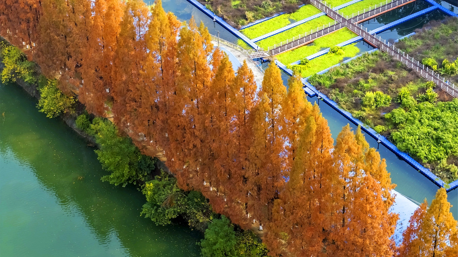 China unveils regulation on ecological environment monitoring