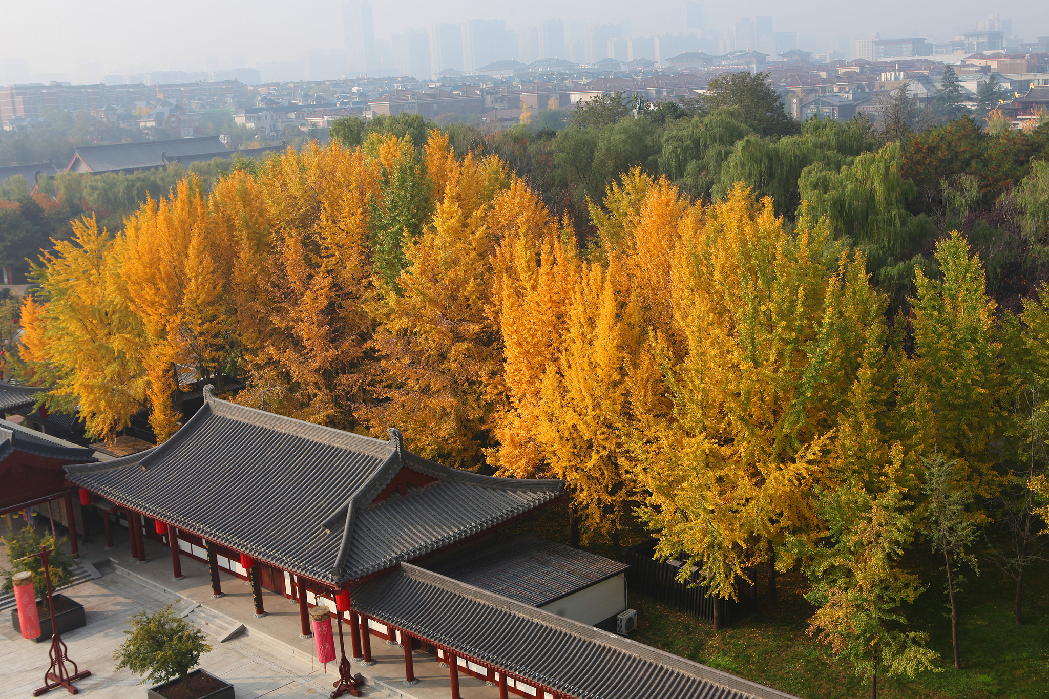 A view of the Tang Paradise theme park in Xi'an, Shaanxi Province on November 4, 2025 /VCG