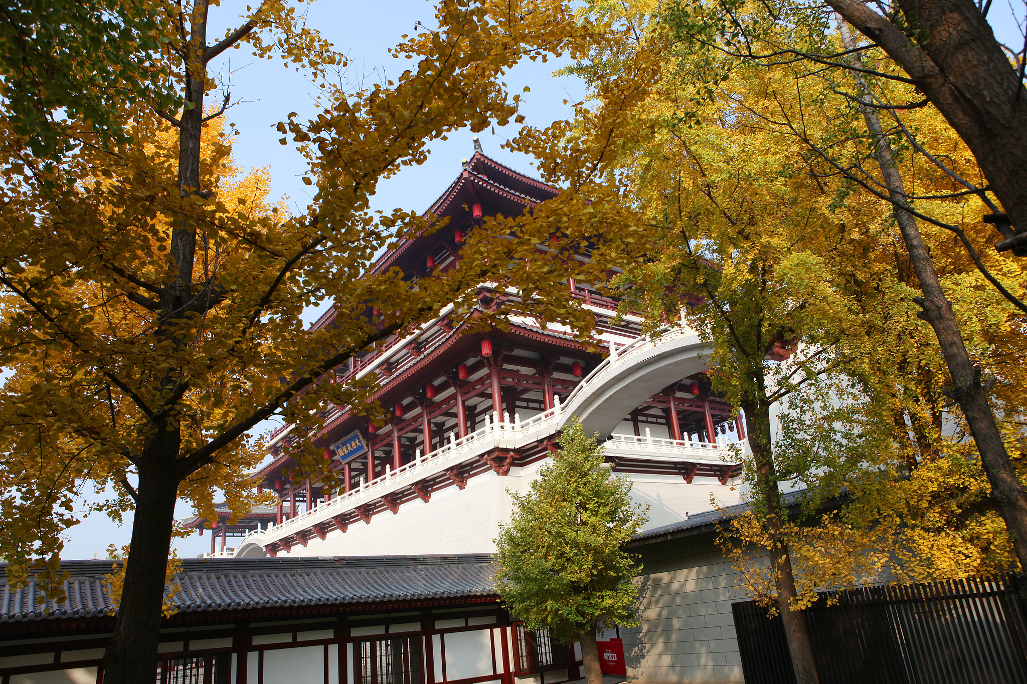 A view of the Tang Paradise theme park in Xi'an, Shaanxi Province on November 4, 2025 /VCG