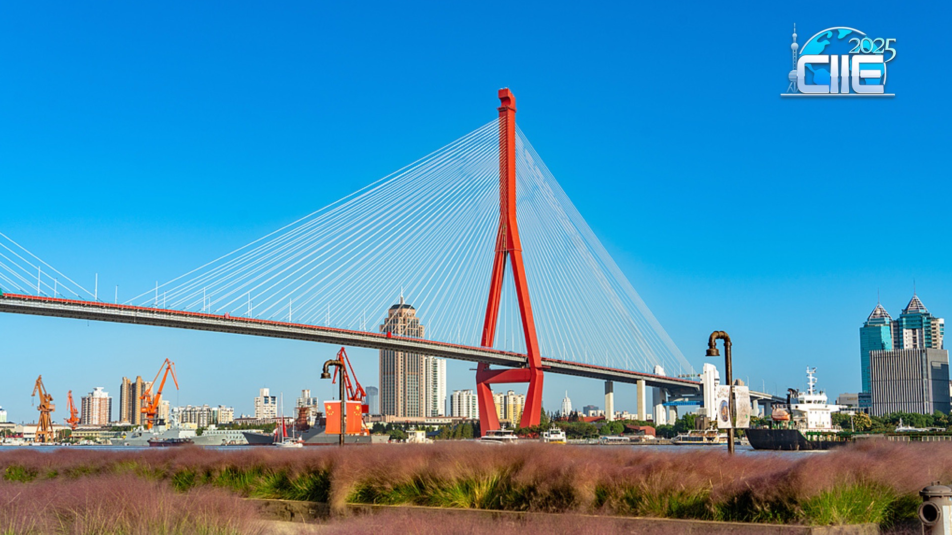 Live: Immerse in the serenity of Yangpu Riverfront in Shanghai