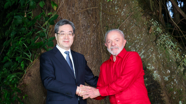 Vice premier: China to work with Brazil to strengthen political trust