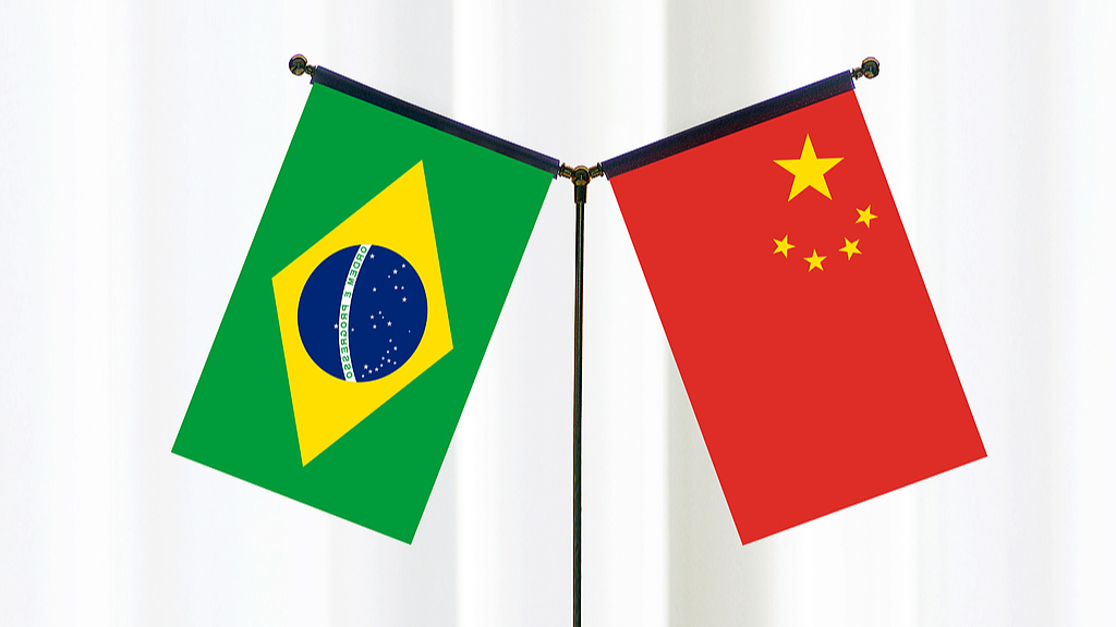 Vice premier urges deeper China-Brazil community with shared future