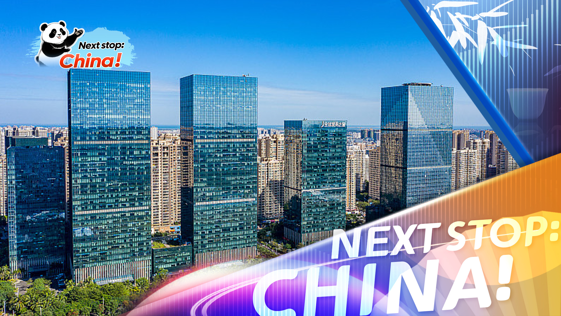 Discover the charm of 'Coconut City'