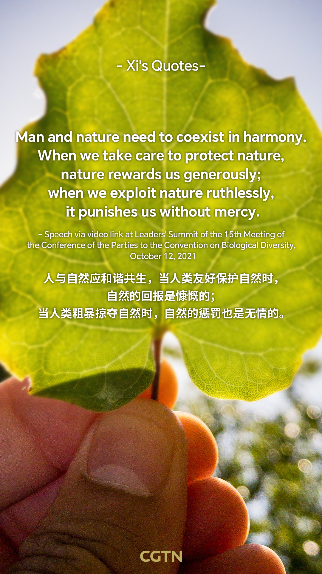 Xi Jinping's key quotes on climate governance, green development