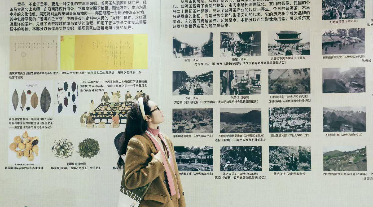 A visitor at an ongoing tea expo in Beijing looks at displays of photographs and historical documents that detail the history and evolution of tribute tea. /Photo provided to CGTN