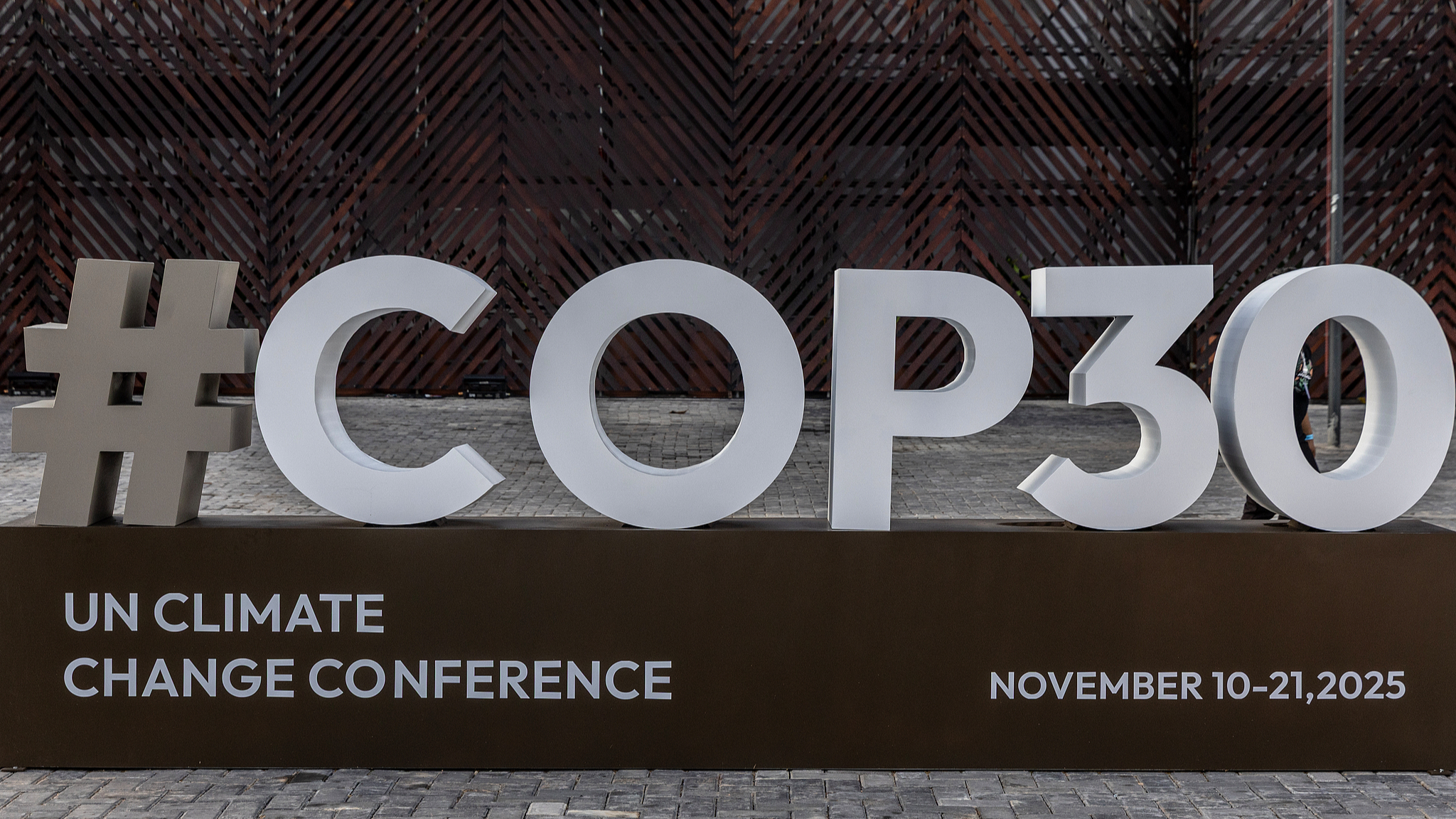 China urges global cooperation to protect tropical rainforests