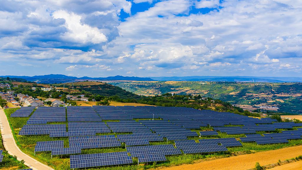 China releases white paper on low-carbon development