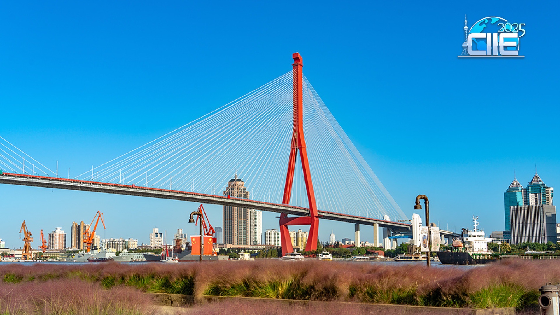 Live: Immerse in the serenity of Yangpu Riverfront in Shanghai