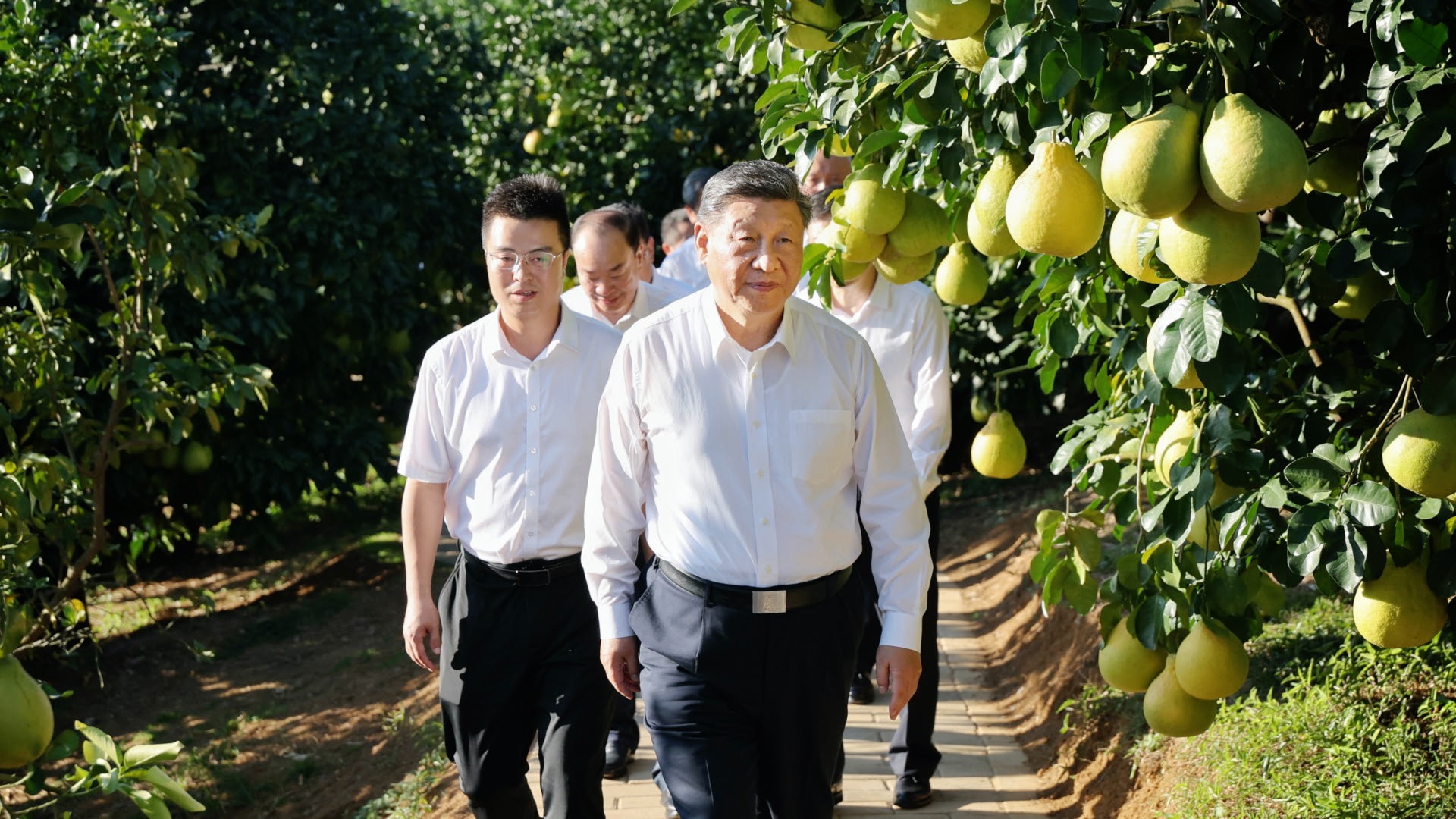President Xi's focus on local specialties drives rural revitalization