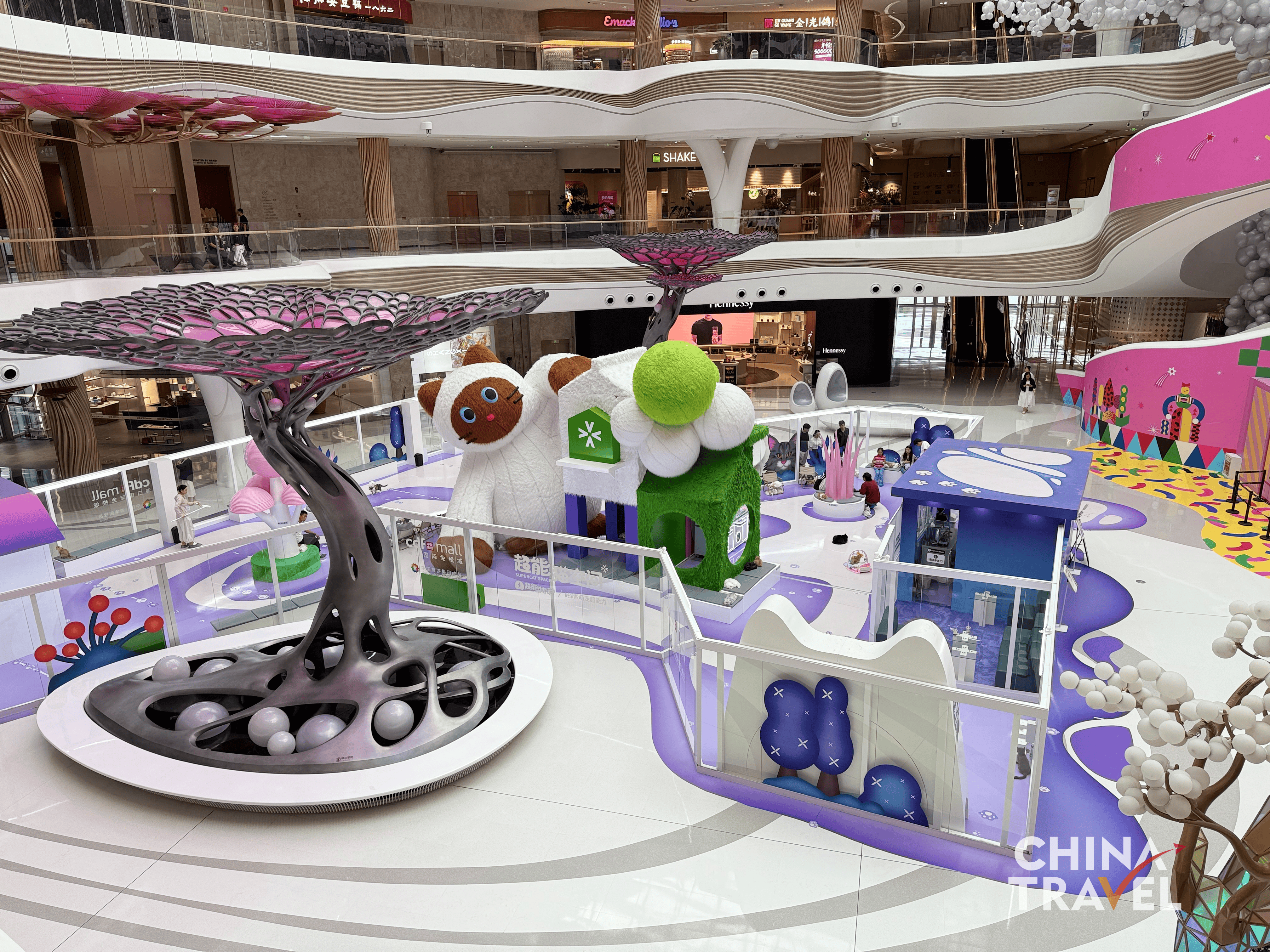Shoppers can cuddle cats at Haikou International Duty-Free Mall. /CGTN