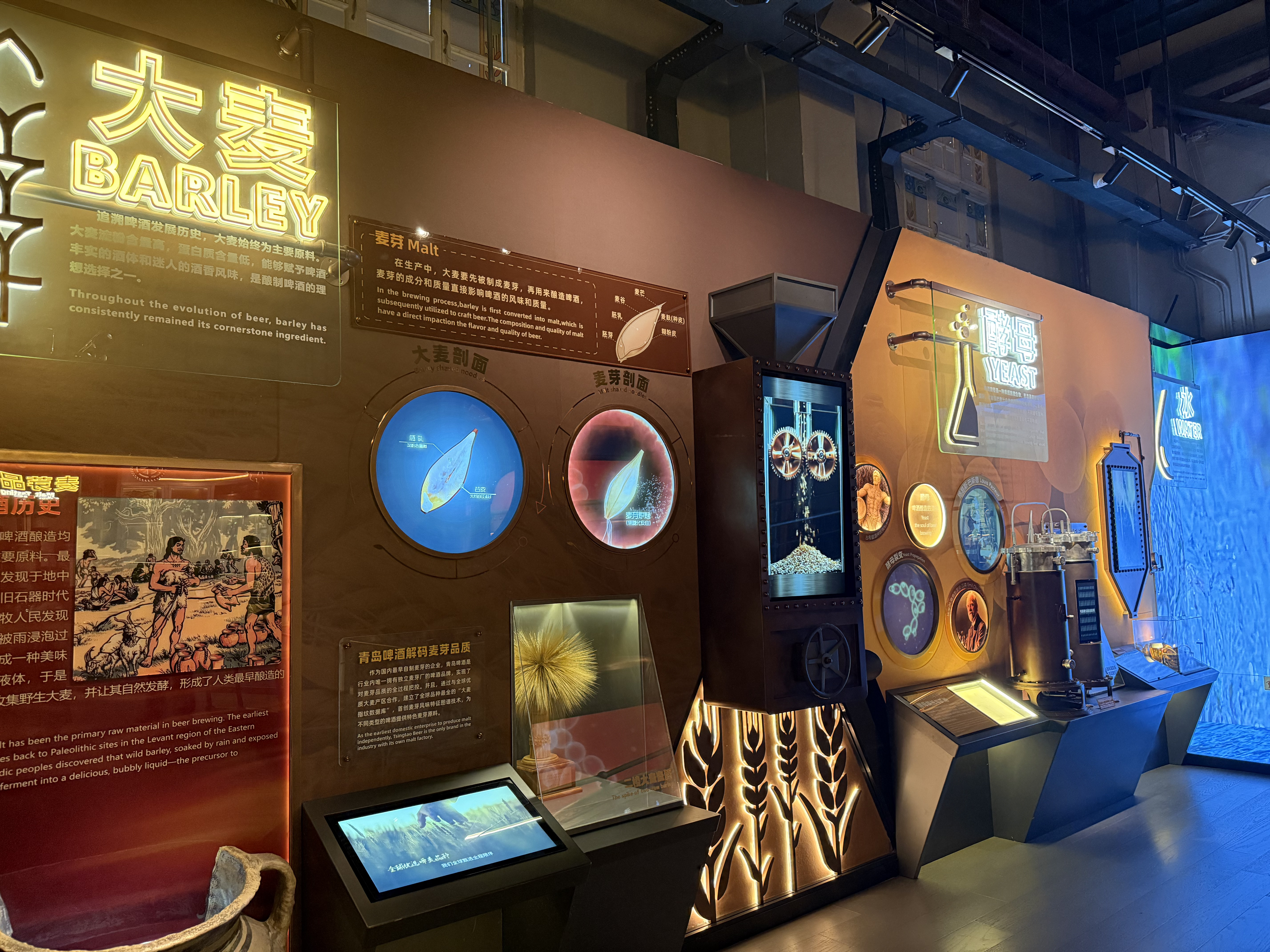 Interactive exhibits and screens in the Tsingtao Beer Museum let you trace the journey of malt, hops, yeast and water from raw material to final drink, Qingdao, September 2025, Zaruhi Poghosyan. /CGTN