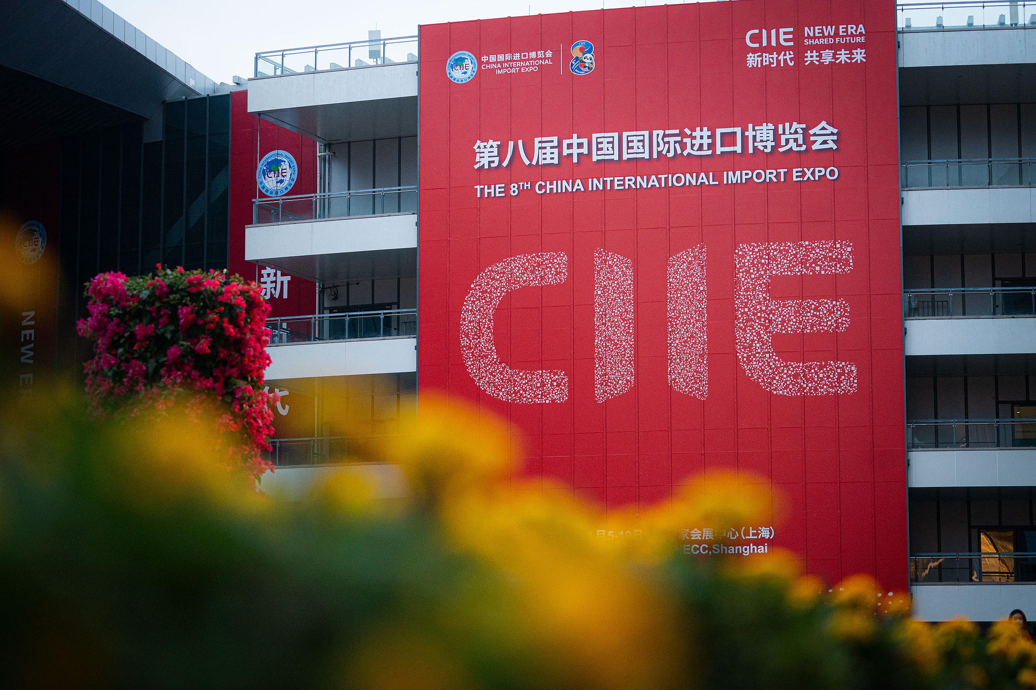 The 8th China International Import Expo opens in Shanghai, China, November 5, 2025. /VCG