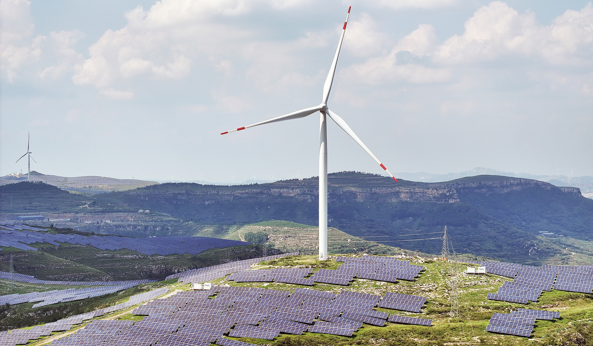 A wind turbine in a field of solar panels in the city of Zaozhuang, Shandong Province in east China, August 21, 2025. / CFP