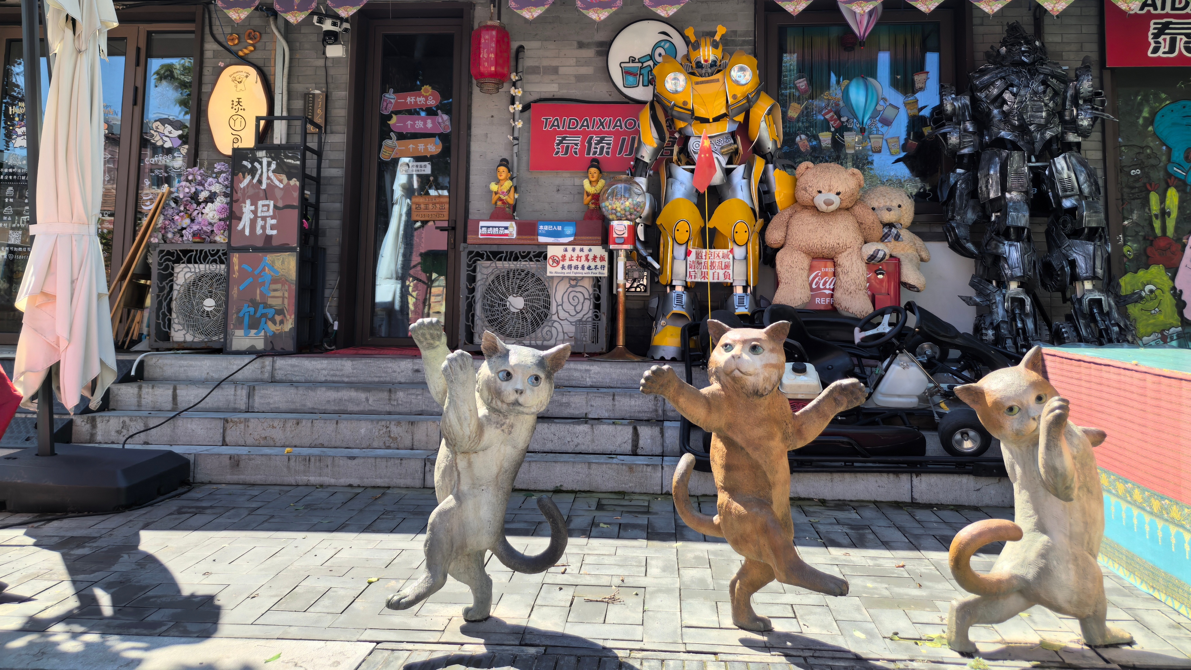 Ancient camel stop Moshikou boasts cultural-tourism vitality