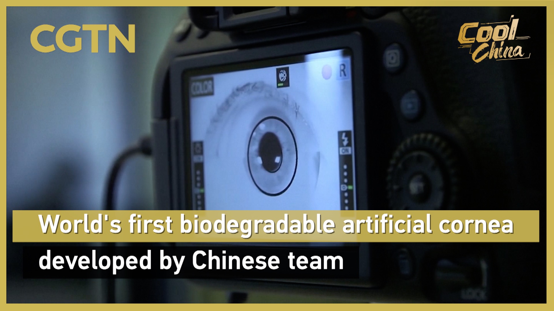 World's first biodegradable artificial cornea developed by Chinese team