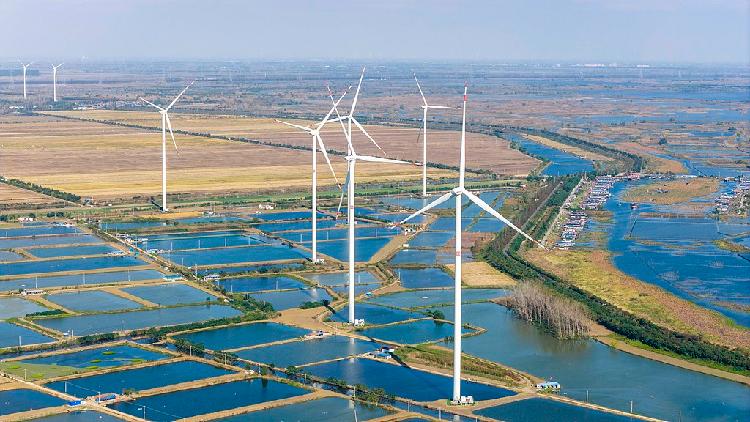 China emerges as key force in global climate governance: Finnish media