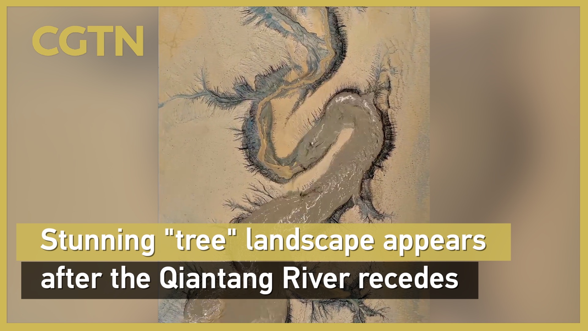 Stunning 'tree' landscape appears after Qiantang River recedes
