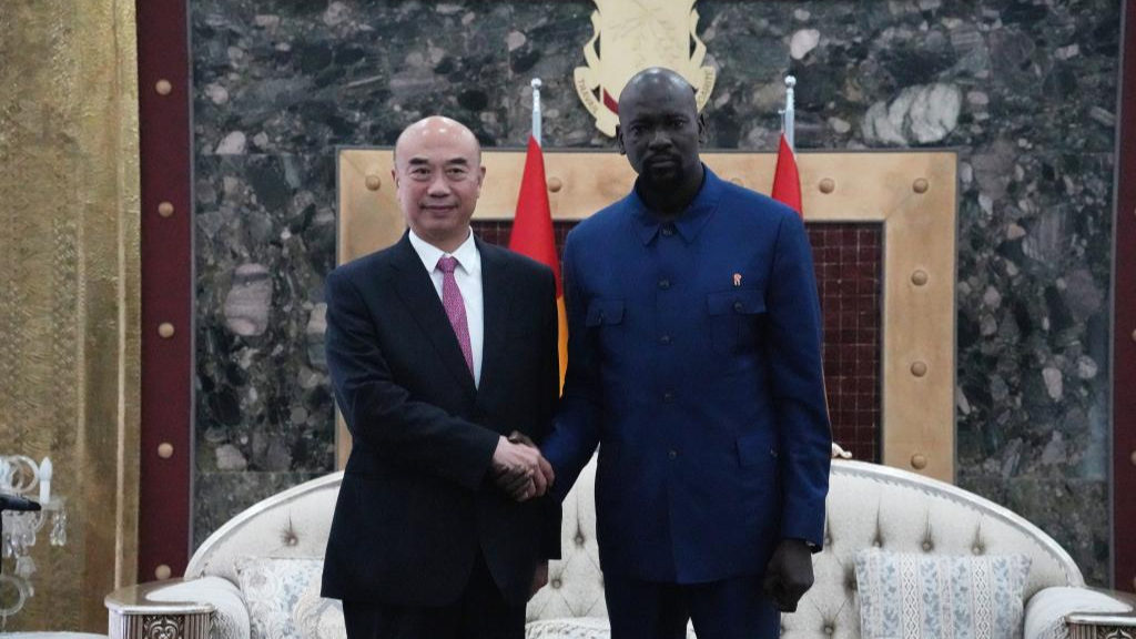 China ready to deepen cooperation with Guinea: vice premier