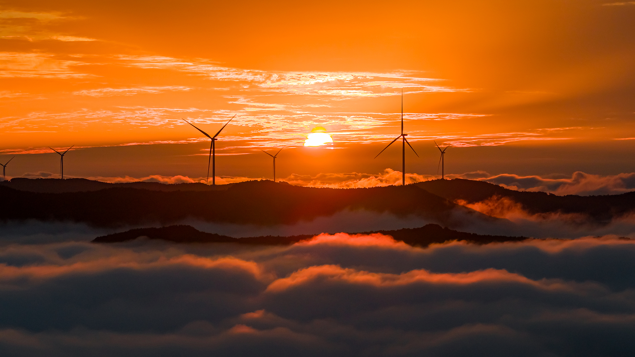 China to cooperate with all sides for positive COP30 results