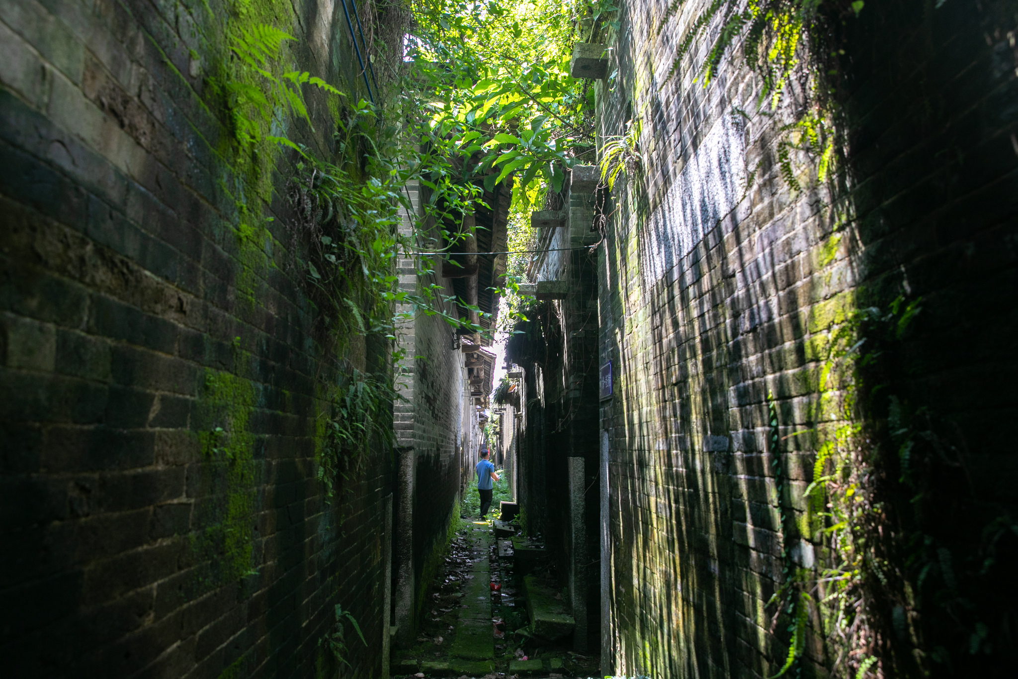 Foto arsip menunjukkan jalur Desa Gaopu di Guangzhou, Provinsi Guangdong. /VCG