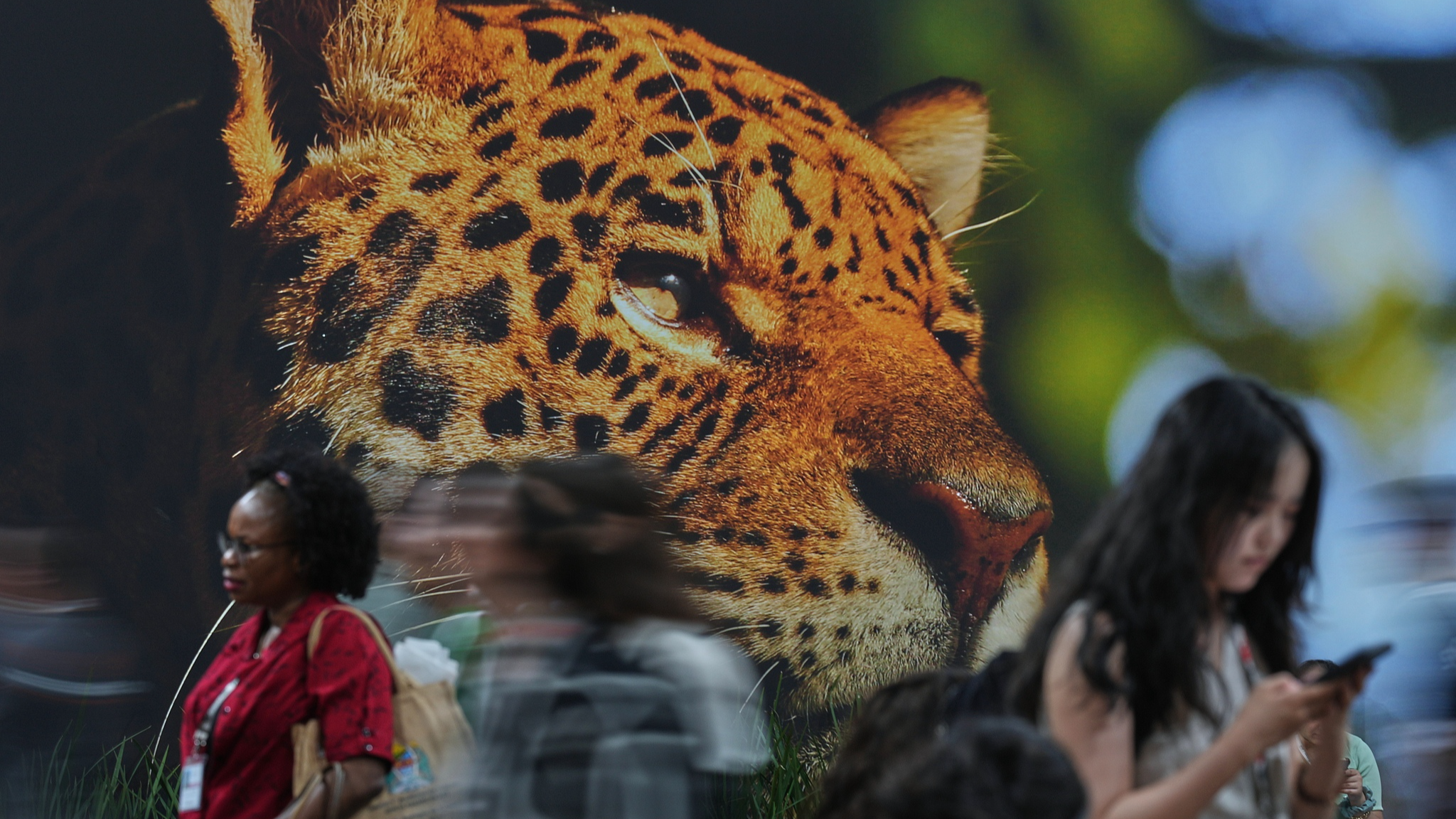 Health at COP30: Is climate change a health crisis?