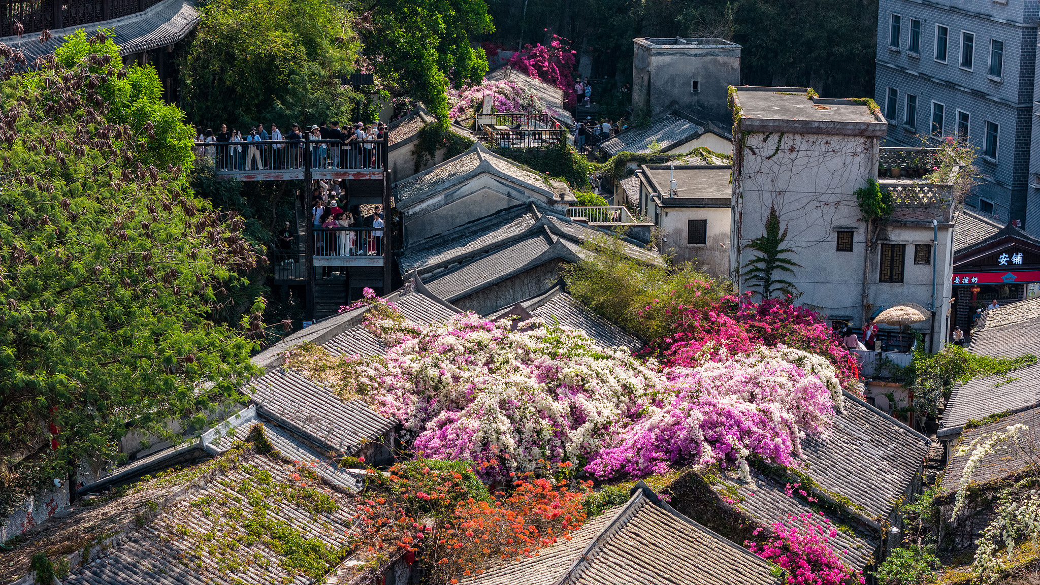 Live: Feel the vibe of the National Games in Gankeng Hakka Town
